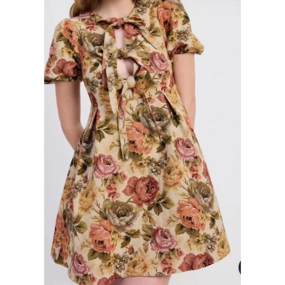 Jacquie The Label Floral Tapestry Babydoll Mini Dress XS Puff Sleeve Nathalia